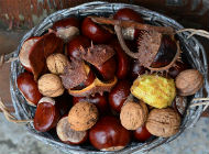 41. Marunada