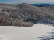 Platak
