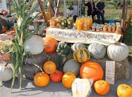 12. Bundevijada u Vrbovskom