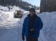 Petar Mamula